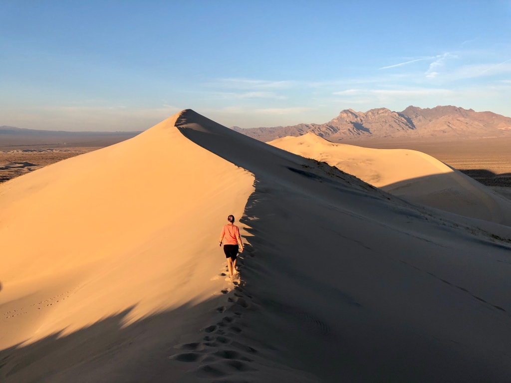 The dunes of Mojave National Reserve